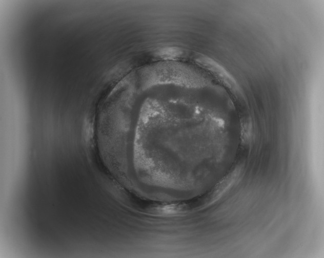 X0000101410365200807211100