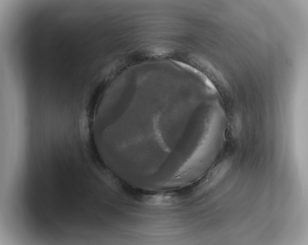 X0000101410366200807211100