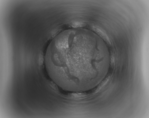 X0000101410367200807211100