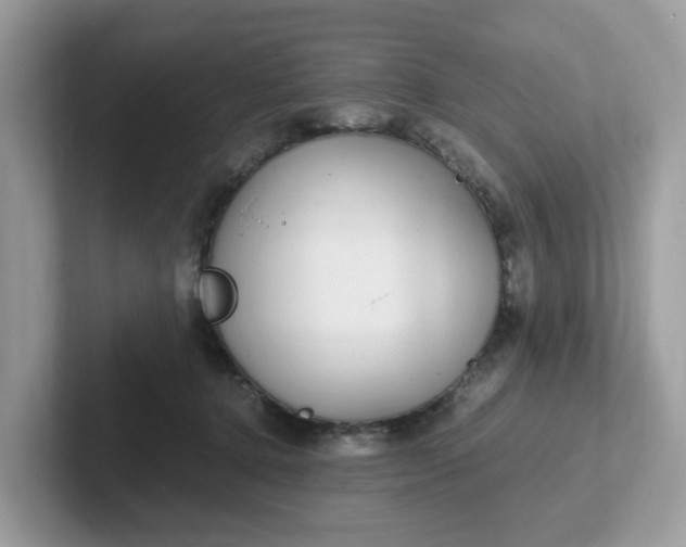 X0000101410368200807211100