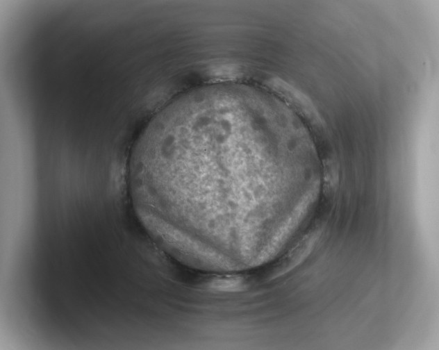 X0000101410369200807211100