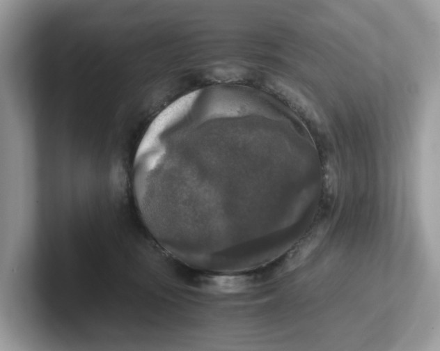 X0000101410371200807211100