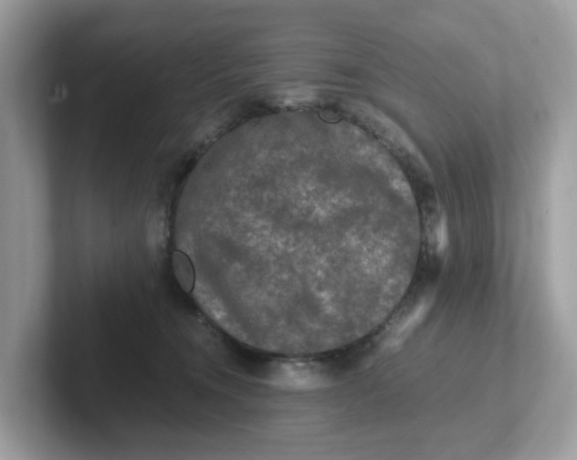 X0000101410372200807211100