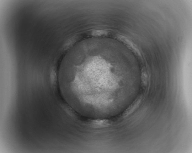 X0000101410375200807211100