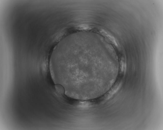 X0000101410376200807211100