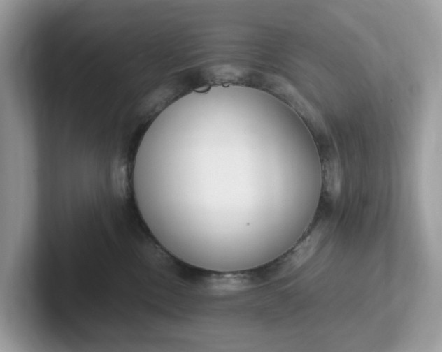 X0000101410378200807211101