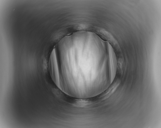 X0000101410380200807211101