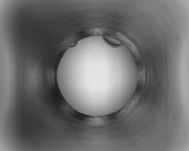 X0000101410381200807211101