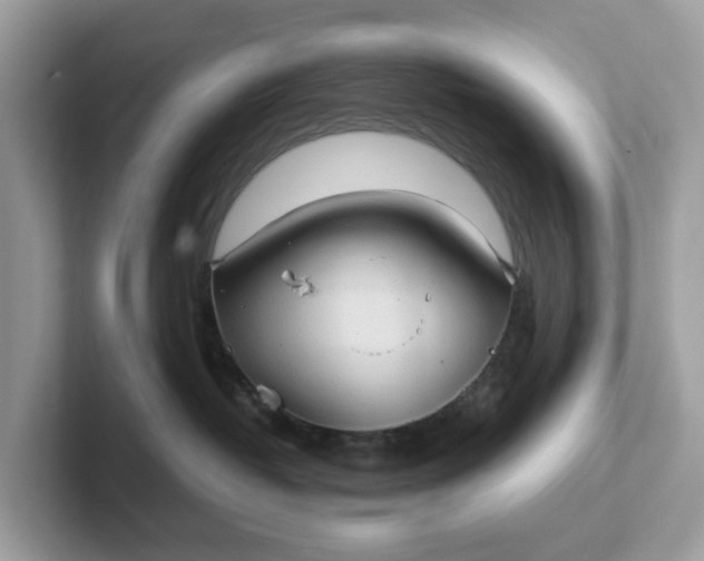 X0000101410382200807211101