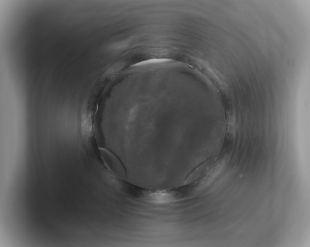 X0000101410383200807211101