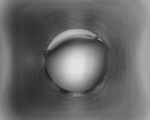 X0000101410384200807211101