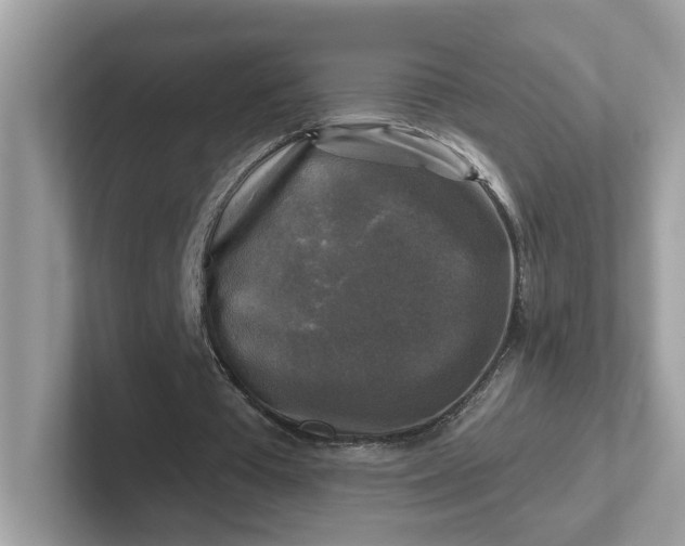 X0000101410385200807211100