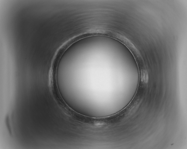 X0000101410388200807211100