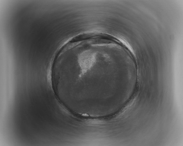 X0000101410389200807211100