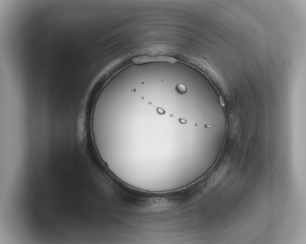 X0000101410392200807211100