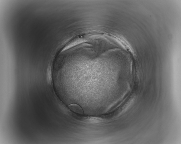 X0000101410393200807211100