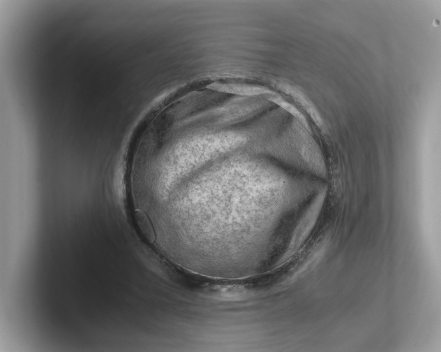 X0000101410395200807211100