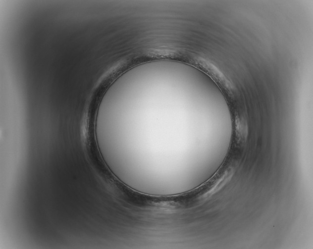 X0000101410396200807211100