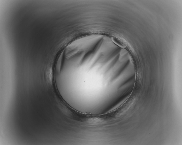 X0000101410397200807211100