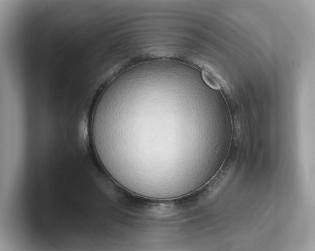 X0000101410398200807211100