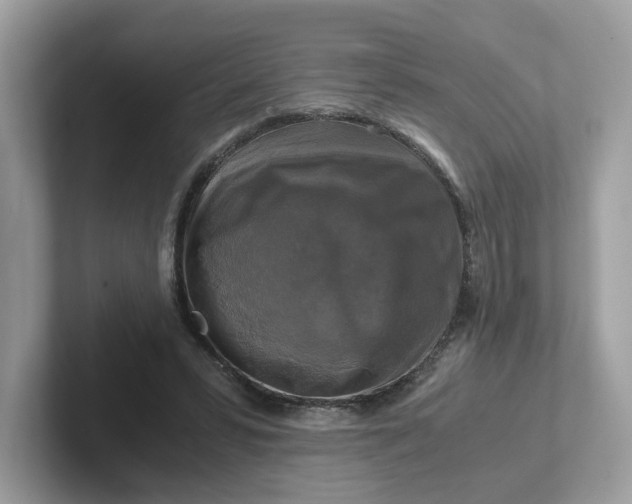 X0000101410399200807211100