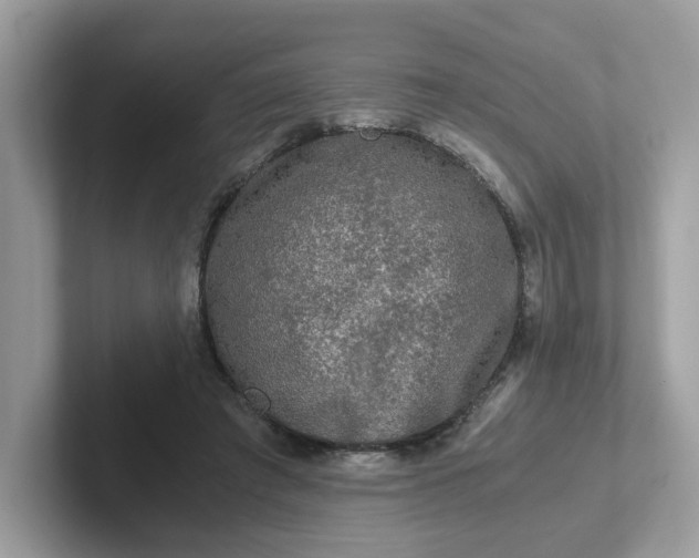 X0000101410401200807211100