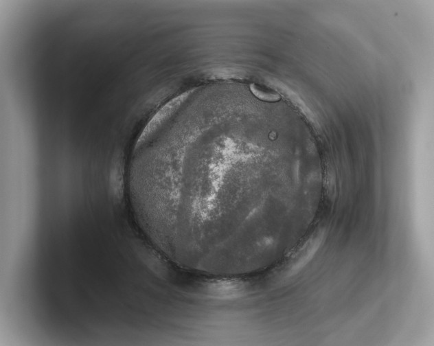 X0000101410402200807211100