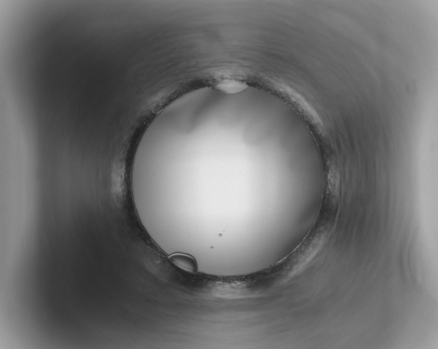 X0000101410403200807211100