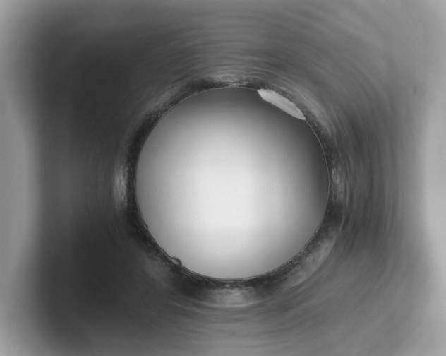 X0000101410404200807211100