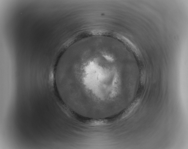 X0000101410405200807211100