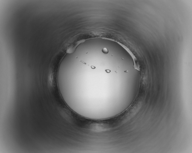 X0000101410408200807211100