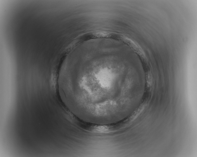 X0000101410409200807211100