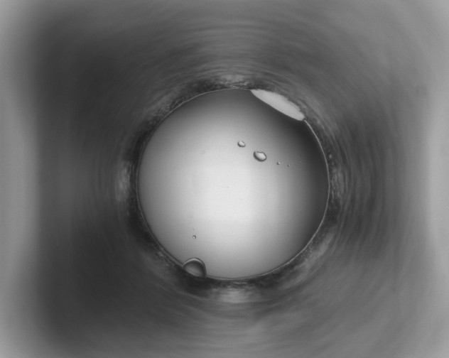 X0000101410412200807211100