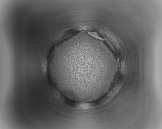 X0000101410413200807211100