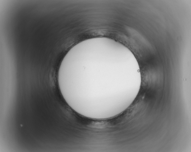 X0000101410414200807211100