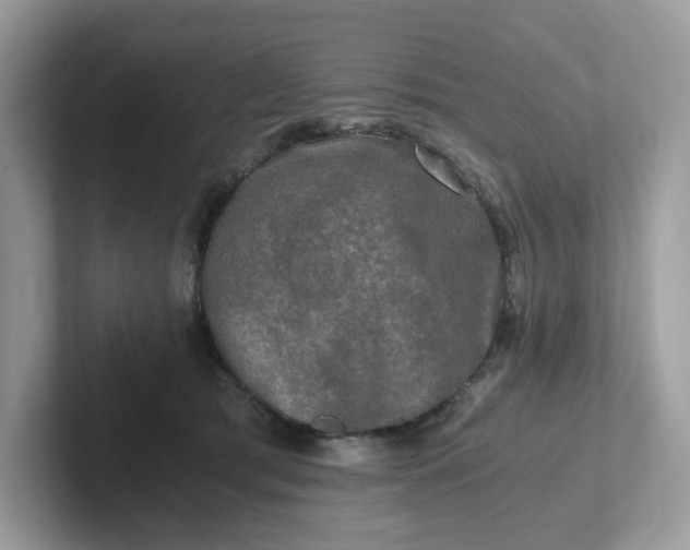 X0000101410417200807211100