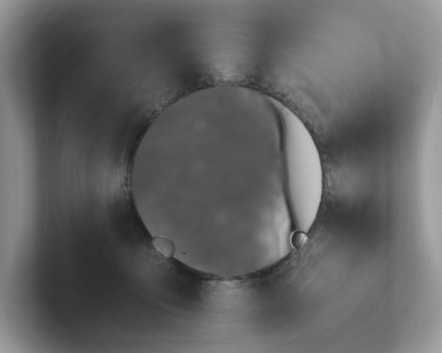 X0000101410419200807211059