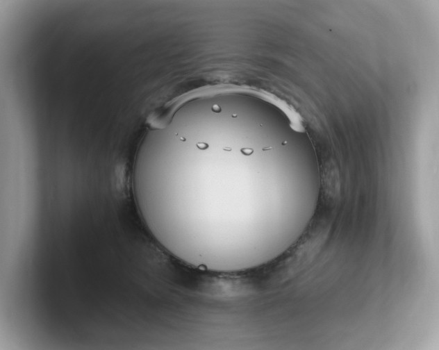 X0000101410420200807211059