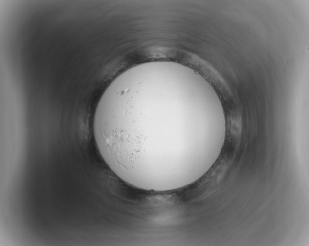 X0000101410422200807211059