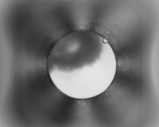 X0000101410423200807211059