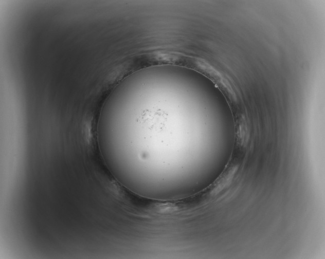 X0000101410424200807211059