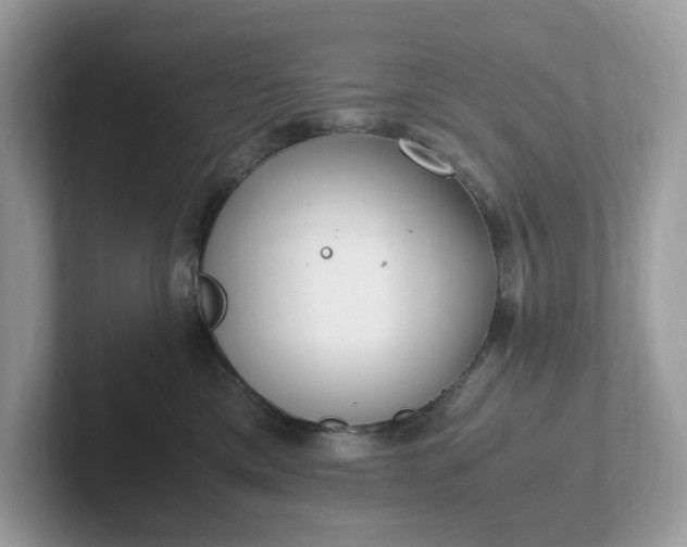 X0000101410425200807211059