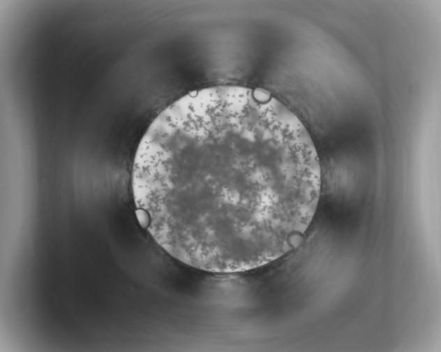 X0000101410427200807211059