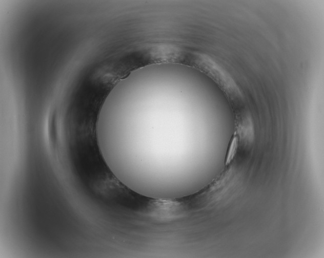 X0000101410429200807211059