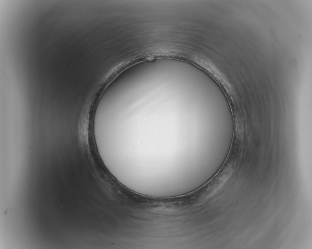 X0000101410434200807211059