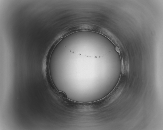 X0000101410435200807211059