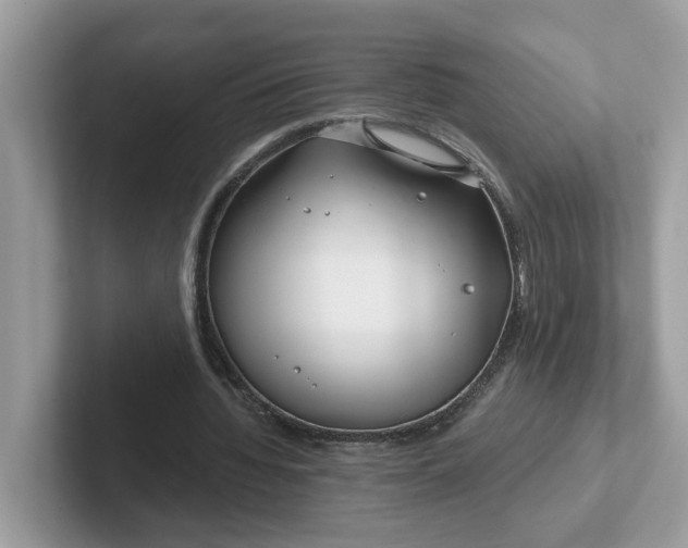 X0000101410436200807211059