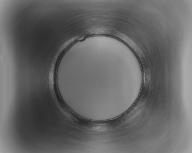 X0000101410438200807211059