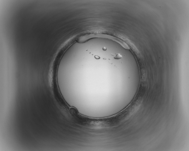 X0000101410440200807211059