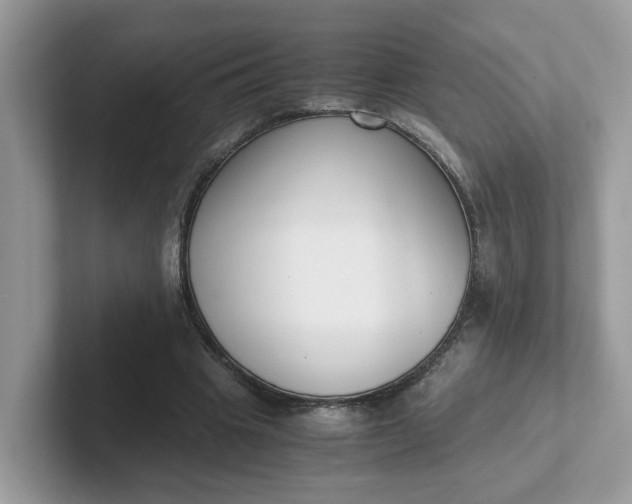 X0000101410441200807211059